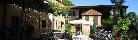 Agriturismo «Tenuta il Cicalino & Parco dei Lecci » Agriturismo «Tenuta il Cicalino & Parco dei Lecci »