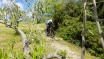 Bikeferien in der Toscana - Toscana 2024 Woche 17 - Ursula & Herbert in Action