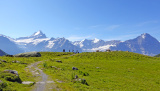 Eiger, Mönch & Jungfrau Hüttentour, Juli 2022 - 3 Tage Eiger, Mönch & Jungfrau Tour