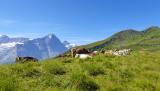 Eiger, Mönch & Jungfrau Hüttentour, Juli 2022 - 3 Tage Eiger, Mönch & Jungfrau Tour