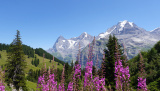 Eiger, Mönch & Jungfrau Hüttentour, Juli 2022 - 3 Tage Eiger, Mönch & Jungfrau Tour