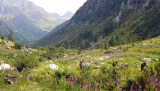 Obergomer Enduro - Juli 2022 - 1'000 Up- & 10'000 Downhill im Goms
