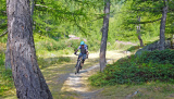 Obergomer Enduro - Juli 2022 - 1'000 Up- & 10'000 Downhill im Goms