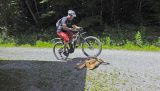 E-Bike Fahrtechnik- & Erlebnis Weekend - Juli 2022 - Fahrtechnik & Erlebnis im Juli