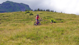 E-Bike Fahrtechnik- & Erlebnis Weekend - Juli 2022 - Fahrtechnik & Erlebnis im Juli