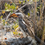 Mountainbike Abenteuer Namibia