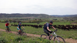 Bikeferien in der Toscana Woche 17 - Mr. Duracell