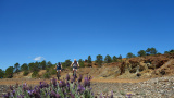 Bikeferien in der Toscana Woche 18 - Arsenti – der Zauberberg