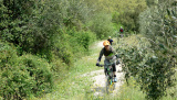 Bikeferien in der Toscana Woche 18 - Arsenti – der Zauberberg