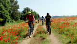 Easy E-Bikewoche mit mtbeer - Wo 24 - Easy E-MTB, Woche 24 2019