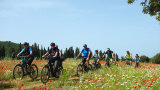 Easy E-Bikewoche mit mtbeer - Wo 24 - Easy E-MTB, Woche 24 2019