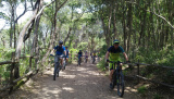 Easy E-Bikewoche mit mtbeer - Wo 24 - Easy E-MTB, Woche 24 2019