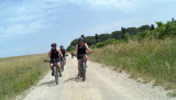 Easy E-Bikewoche mit mtbeer - Wo 24 - Easy E-MTB, Woche 24 2019