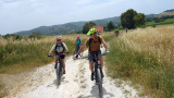 Easy E-Bikewoche mit mtbeer - Wo 24 - Easy E-MTB, Woche 24 2019
