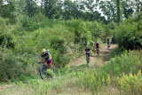 Bikeferien in der Toscana - Woche 39 - Was will ein MTBler mehr?