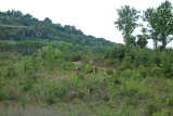 Bikeferien in der Toscana - Woche 39 - Was will ein MTBler mehr?