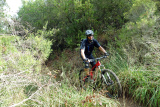 Bikeferien in der Toscana - Woche 39 - Was will ein MTBler mehr?