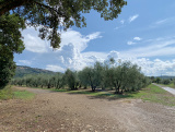 Bikeferien in der Toscana - Woche 39 - Was will ein MTBler mehr?