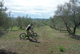 Bikeferien in der Toscana - Woche 39 - Was will ein MTBler mehr?