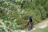 Bikeferien in der Toscana - Woche 39 - Was will ein MTBler mehr?