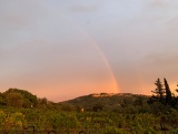 Bikeferien in der Toscana - Woche 39 - Was will ein MTBler mehr?