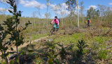 Bikeferien in der Toscana - Woche 16 - Eli uf de Trails in Massa Marittima