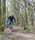 Bikeferien in der Toscana - Woche 16 - Eli uf de Trails in Massa Marittima