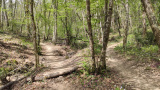Bikeferien in der Toscana - Woche 16 - Eli uf de Trails in Massa Marittima