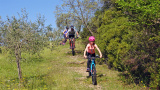 Bikeferien in der Toscana - Woche 17 - Bericht von Trail-Rocker Finn