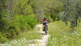 Bikeferien in der Toscana - Woche 17 - Bericht von Trail-Rocker Finn