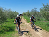 Bikeferien in der Toscana - Woche 17 - Bericht von Trail-Rocker Finn