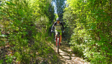 Bikeferien in der Toscana - Woche 17 - Bericht von Trail-Rocker Finn