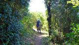 Bikeferien in der Toscana - Woche 17 - Bericht von Trail-Rocker Finn