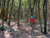 Bikeferien in der Toscana - Woche 17 - Bericht von Trail-Rocker Finn