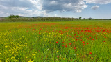 Bikeferien in der Toscana - Woche 18 - Toscana by Bike