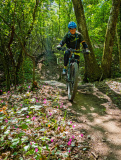 Bikeferien in der Toscana - Woche 18 - Toscana by Bike