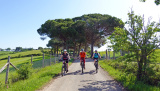 Bikeferien in der Toscana - Woche 19 - Severin zu Besuch bei mtbeer