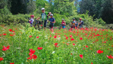 Bikeferien in der Toscana - Woche 19 - Severin zu Besuch bei mtbeer