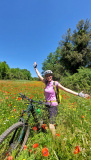 Bikeferien in der Toscana - Woche 20 - Simon geniesst die farbige Toscana