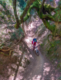 Bikeferien in der Toscana - Woche 20 - Simon geniesst die farbige Toscana
