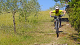 Bikeferien in der Toscana - Woche 20 - Simon geniesst die farbige Toscana