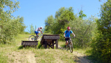 Bikeferien in der Toscana - Woche 20 - Simon geniesst die farbige Toscana