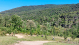 Bikeferien in der Toscana - Woche 20 - Simon geniesst die farbige Toscana