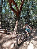 Bikeferien in der Toscana - Woche 20 - Simon geniesst die farbige Toscana