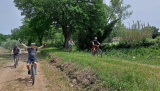 Bikeferien in der Toscana - Woche 21 - Massa Marittima wir kommen……