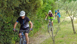 Bikeferien in der Toscana - Woche 21 - Massa Marittima wir kommen……
