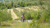 Bikeferien in der Toscana - Woche 21 - Massa Marittima wir kommen……