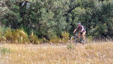 Bikeferien in der Toscana - Woche 21 - Massa Marittima wir kommen……