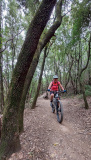 Bikeferien in der Toscana - Woche 21 - Massa Marittima wir kommen……