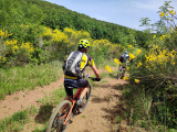 Bikeferien in der Toscana - Woche 21 - Massa Marittima wir kommen……